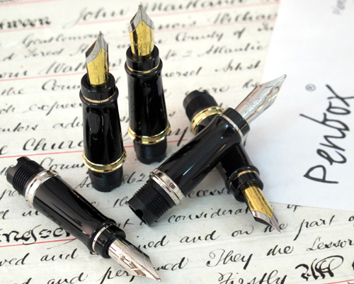 Replacement Waterman Expert fountain pen nibs.